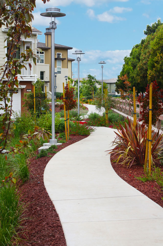 Garden By The Bay Meadow bay meadows - vandertoolen associates Garden By The Bay Meadow bay meadows - vandertoolen associates